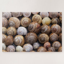 Quebra-cabeça Caracóis