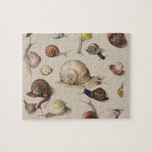 Quebra-cabeça Caracóis de Gastropodo Gastropodo Jardim das Serra