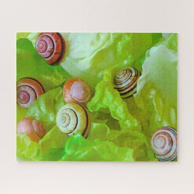 Quebra-cabeça Caracóis em alface 520-pc (Horizontal)