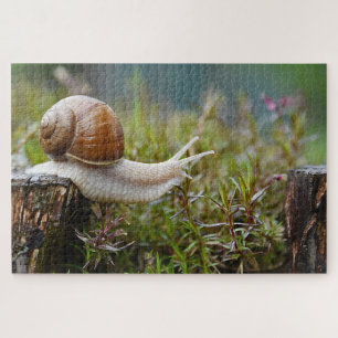 Quebra-cabeça Caracol Entre O Rosemário
