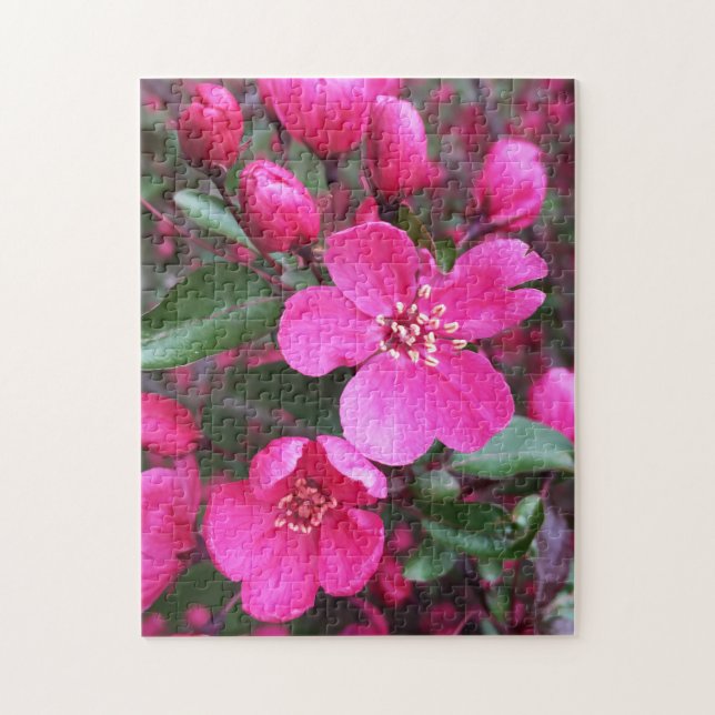 Quebra-cabeça Caranguejo-Flor Rosa (Vertical)