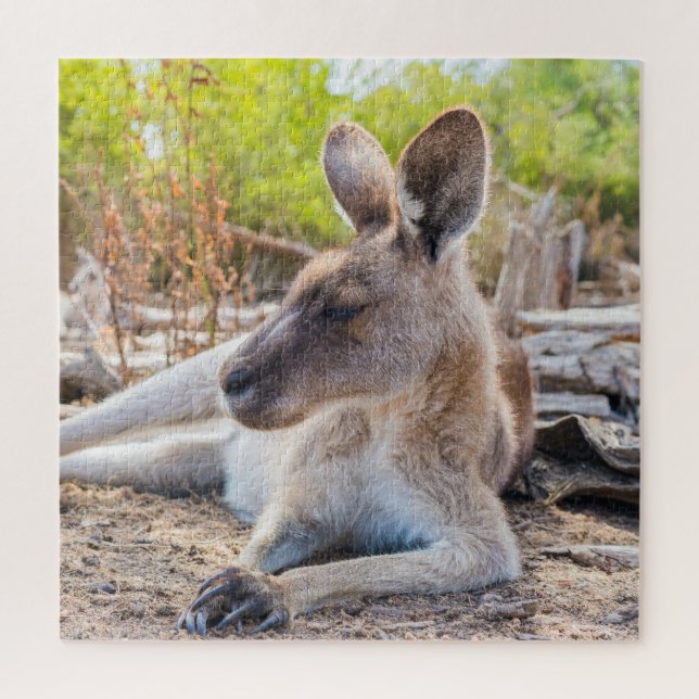 Quebra-cabeça Caranguru Australiano Que Descansa (Vertical)