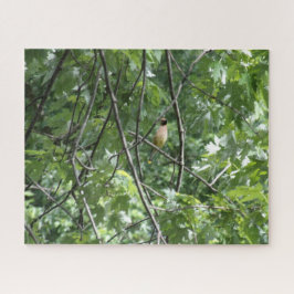 Quebra-cabeça Cardeal amarelo