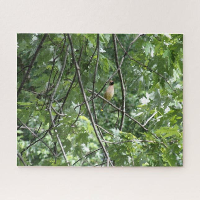 Quebra-cabeça Cardeal amarelo (Horizontal)