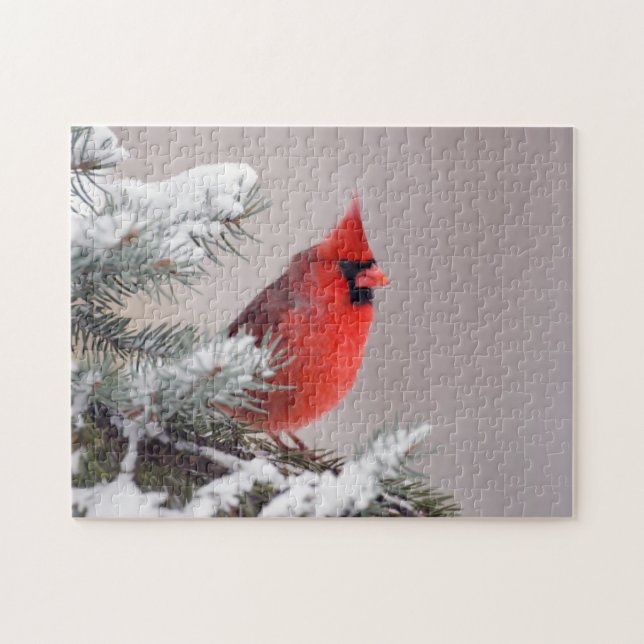 Quebra-cabeça Cardeal do norte empoleirado em uma árvore (Horizontal)