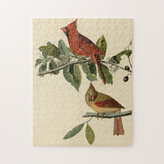Quebra-cabeça Cardeal Grosbeak das Aves da América de Audubon (Vertical)