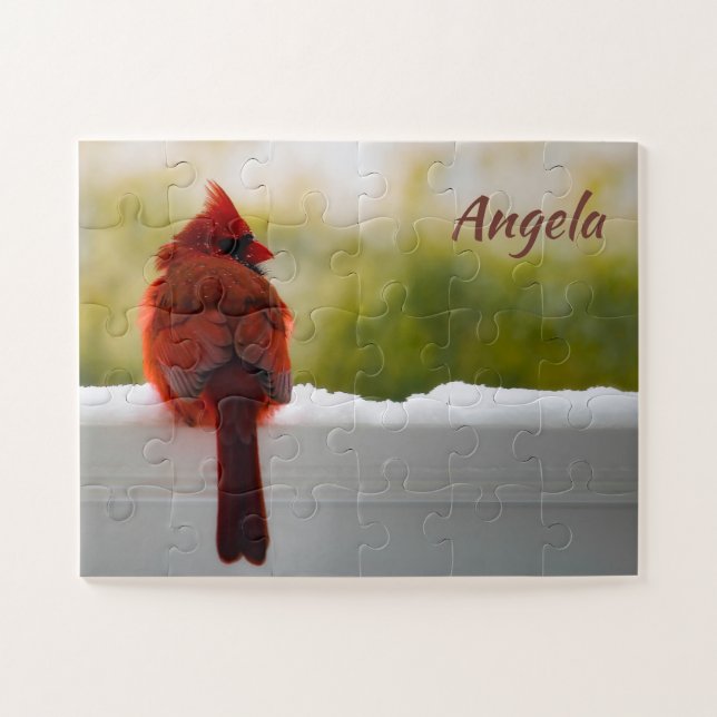 Quebra-cabeça Cardeal masculino 14x11 fácil (Horizontal)