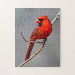 Quebra-cabeça cardinal