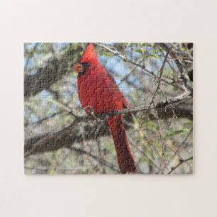 Quebra-cabeça cardinal