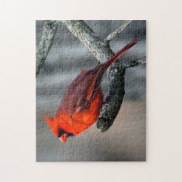 Quebra-cabeça cardinal