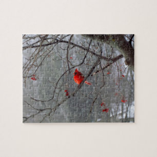 Quebra-cabeça cardinal