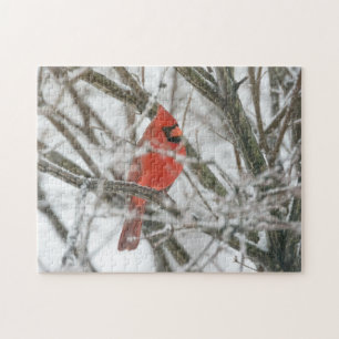 Quebra-cabeça Cardinal
