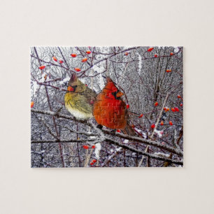 Quebra-cabeça cardinal da floresta