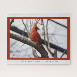Quebra-cabeça Cardinal de Norte masculino; Bird Lover