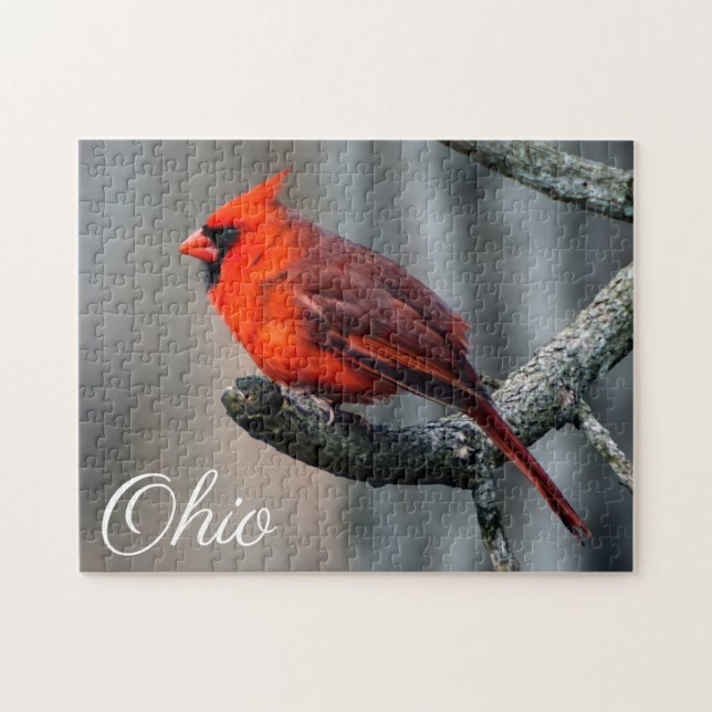 Quebra-cabeça cardinal de Ohio (Horizontal)