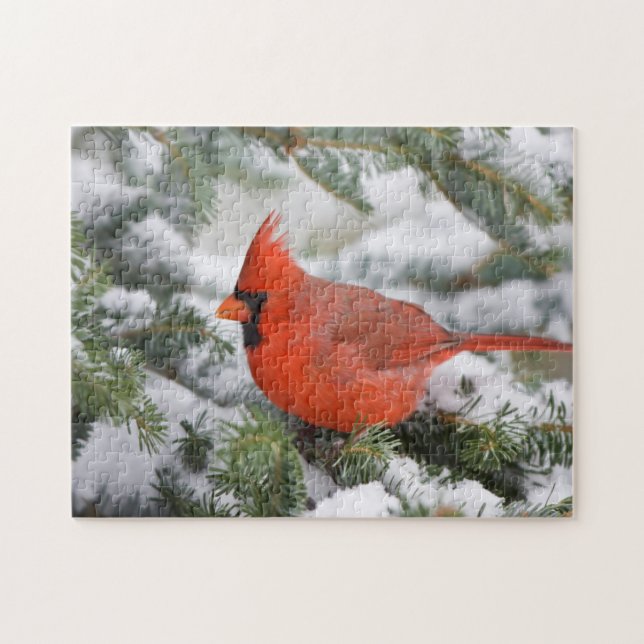 Quebra-cabeça Cardinal do norte em árvore de abeto balsâmico no  (Horizontal)
