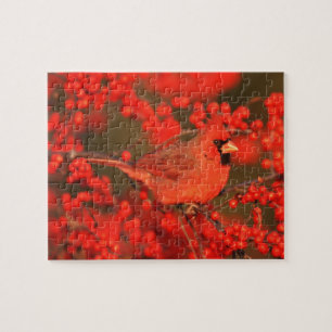 Quebra-cabeça Cardinal do Norte macho vermelho, IL
