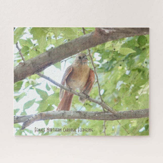 Quebra-cabeça Cardinal feminino, amante de pássaros (Horizontal)