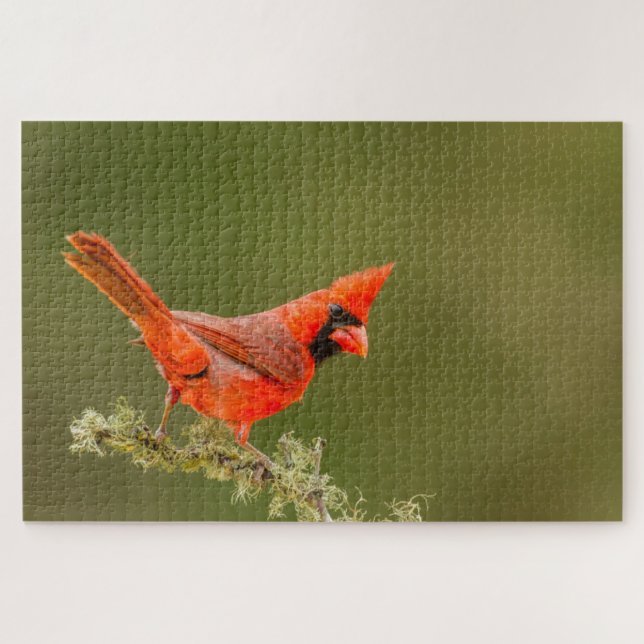 Quebra-cabeça Cardinal macho no galho (Horizontal)