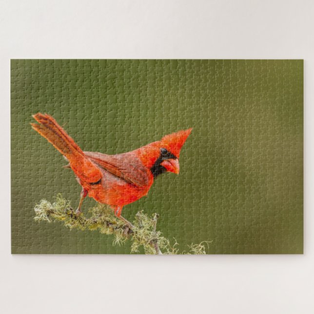 Quebra-cabeça Cardinal macho no galho (Horizontal)