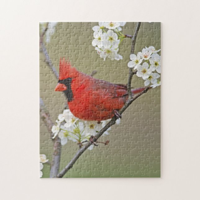 Quebra-cabeça Cardinal-vermelho (Vertical)