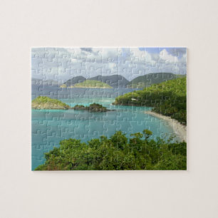 Quebra-cabeça Caribe, Ilhas Virgens Americanas, St. John, Tronco