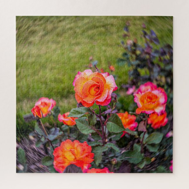 Quebra-cabeça Carnaval Rosa com um Toque (Vertical)