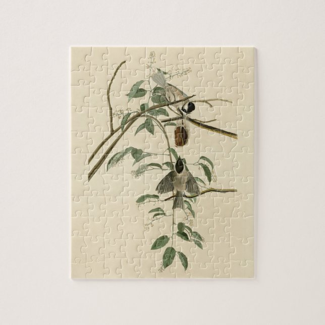 Quebra-cabeça Carolina Titmouse da Universidade de Audubon's Bir (Vertical)