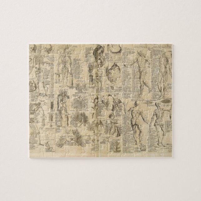Quebra-cabeça Carta anatômica de Cyclopaedia 1728 (Horizontal)
