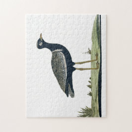 Quebra-cabeça Cartão Black Korhaan do Sul