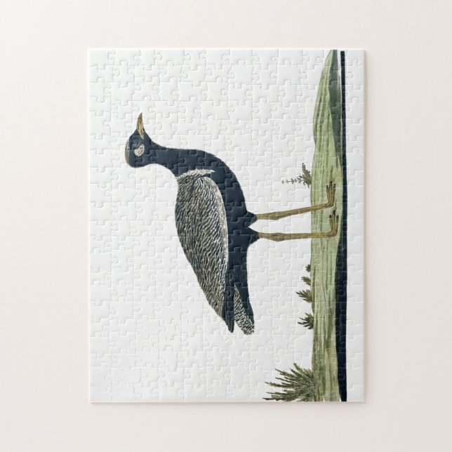 Quebra-cabeça Cartão Black Korhaan do Sul (Vertical)