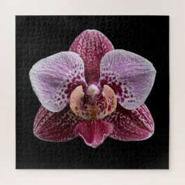 Quebra-cabeça Cartaz da Coleção Botânica de Orquídeas Elegantes