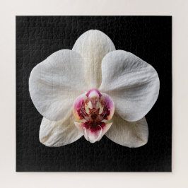 Quebra-cabeça Cartaz da Coleção Botânica de Orquídeas Elegantes
