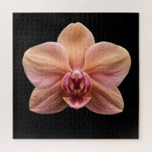 Cartaz da Coleção de Orquídeas Botânicas Elegantes
