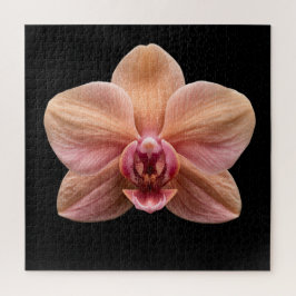 Quebra-cabeça Cartaz da Coleção de Orquídeas Botânicas Elegantes
