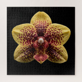 Quebra-cabeça Cartaz da Coleção de Orquídeas Botânicas Elegantes