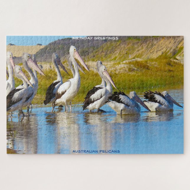 Quebra-cabeça Cartões de aniversários - Pelicanos australianos (Horizontal)