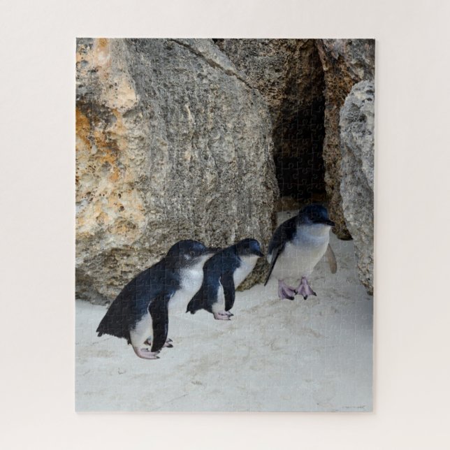 Quebra-cabeça Casa da Praia do Pinguim, (Vertical)
