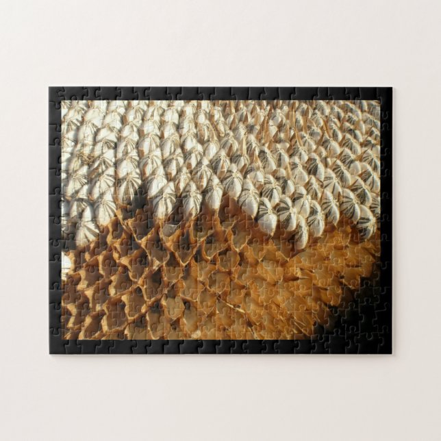 Quebra-cabeça - Cascas de girassol (Horizontal)