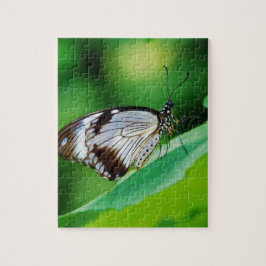 Quebra-cabeça Castanho escuro e borboleta Cinza