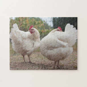 Quebra-cabeça Castanho Funky Hen Hy-Line Silver Brown