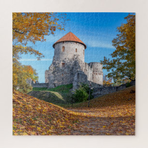 Quebra-cabeça Castelo medieval cercado por floresta