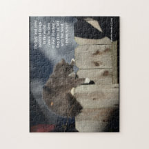 Cat on Fence #9 (Personalizar Cotação)