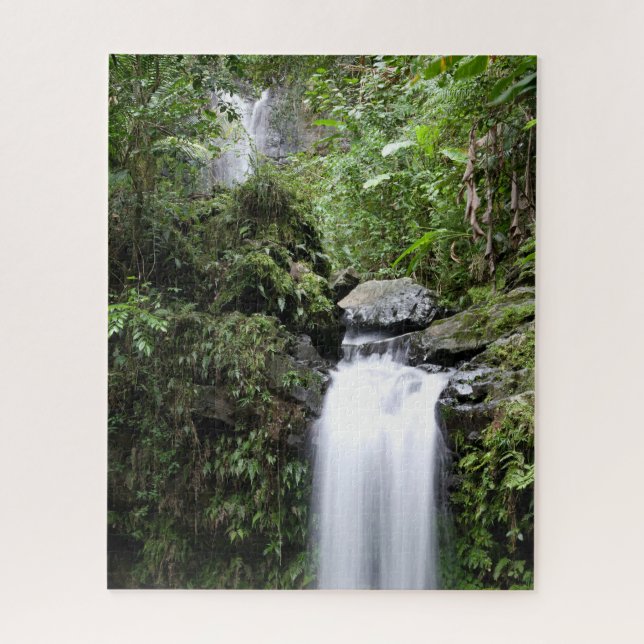 Quebra-cabeça Cataratas de Juan Diego (Vertical)