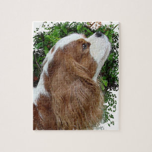Quebra-cabeça Cavaleiro Rei Charles Spaniel