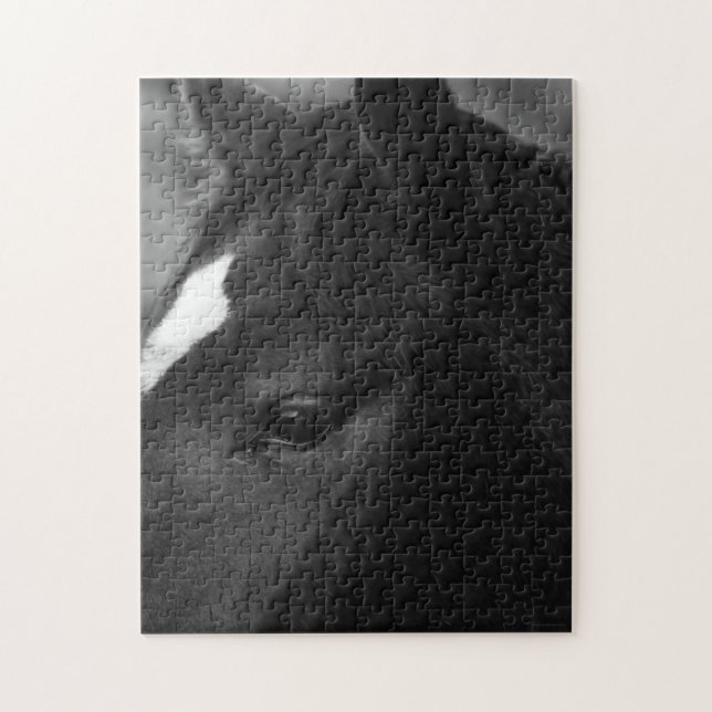 Quebra-cabeça Cavalo 11x14 252pc jpcna (Vertical)