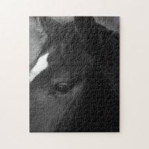 Cavalo 11x14 jpcnm 252pc