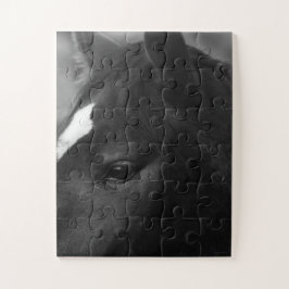 Quebra-cabeça Cavalo 11x14 jpcnm 30pc