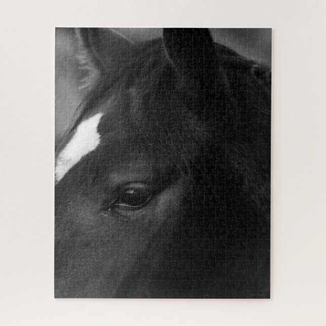 Quebra-cabeça Cavalo 16x20 520pc jpcna (Vertical)