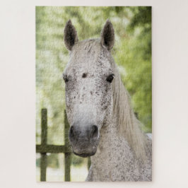 Quebra-cabeça Cavalo Appaloosa